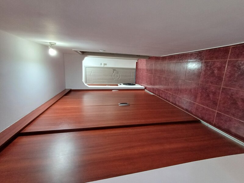 Chisinau, Basarabia, Diham Delfinului Pantelimon Mozaicului Pictor Harlescu