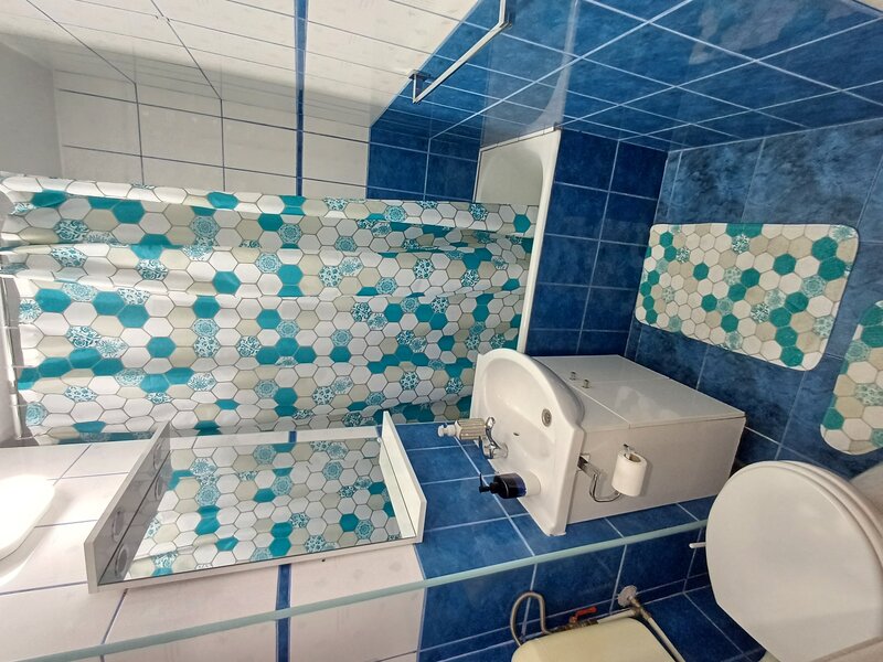 Chisinau, Basarabia, Diham Delfinului Pantelimon Mozaicului Pictor Harlescu