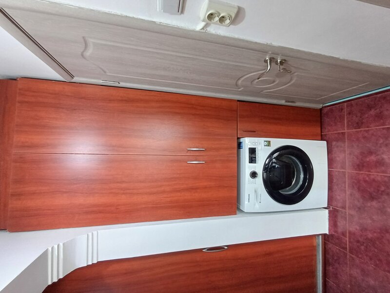 Chisinau, Basarabia, Diham Delfinului Pantelimon Mozaicului Pictor Harlescu