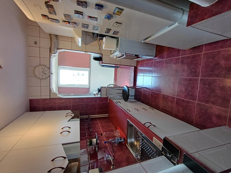 Chisinau, Basarabia, Diham Delfinului Pantelimon Mozaicului Pictor Harlescu